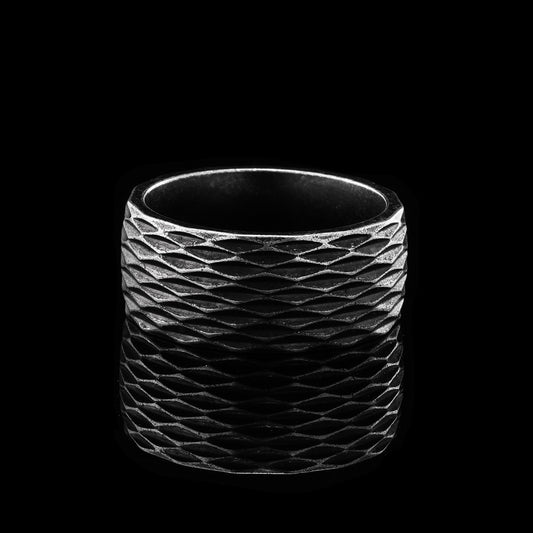 LABR Titanium Steel Punk ring